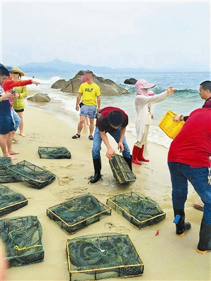當日放生的(de)油錐,屬海鳝科。受訪者供圖